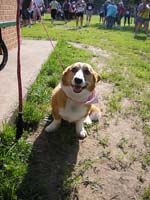 Weight Watchers Walk-It Day 5k 026